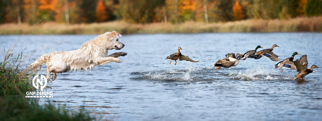 Best Gun Cleaner Spray for Quick, Field-Ready Cleaning