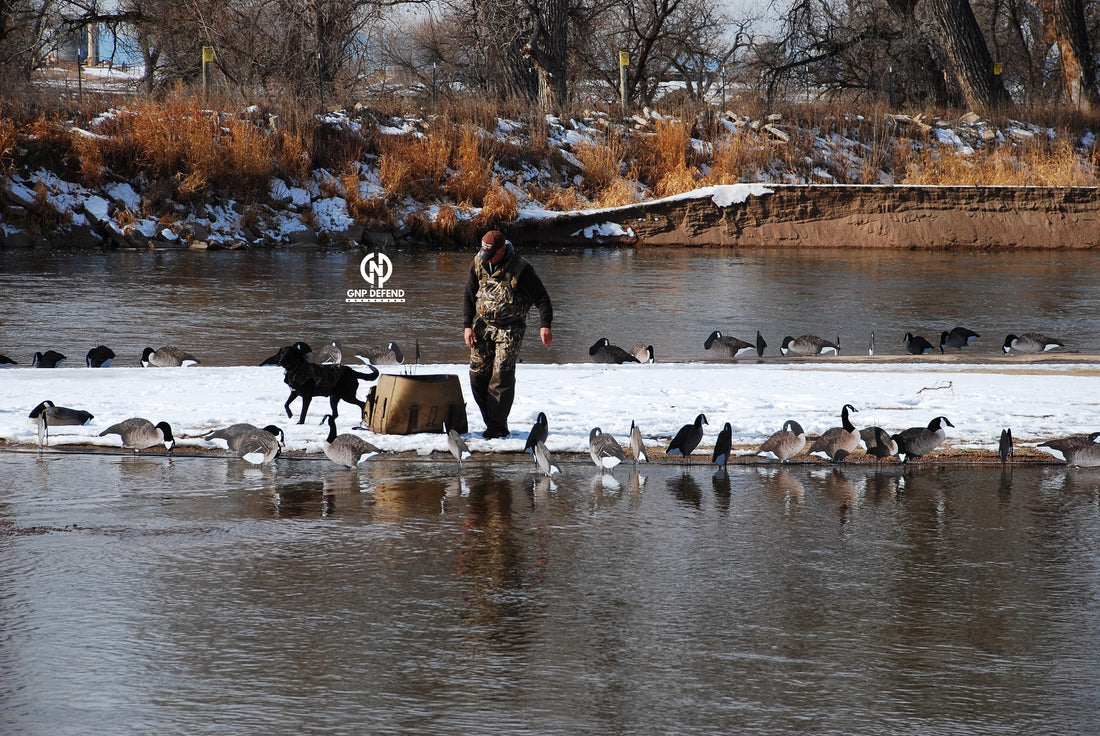 Best Gun Cleaning Kit
