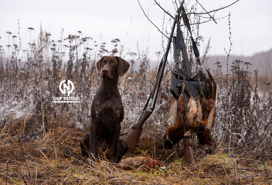 How to Clean a Gun: Complete Step-by-Step Guide